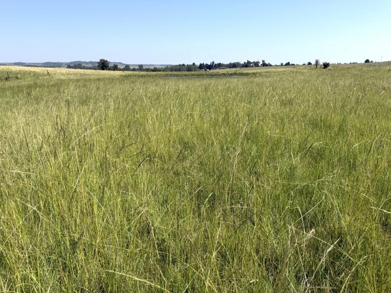 0 Bedroom Property for Sale in Bethlehem Rural Free State